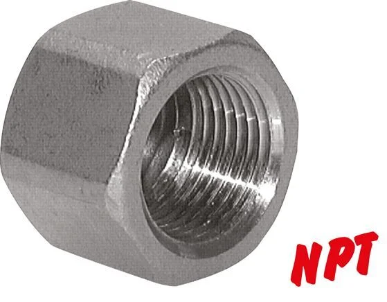 1/2” NPT Stainless steel End cap 16 Bar [2 Pieces]