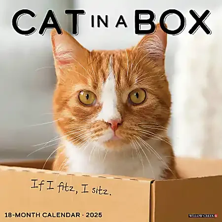 2025 Willow Creek Press Monthly Wall Calendar, 12″ x 12″, Cat In A Box, January 2025 to December 2025, 42182