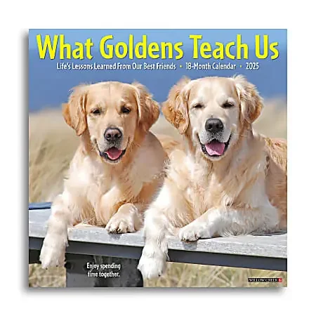 2025 Willow Creek Press Monthly Wall Calendar, 12″ x 12″, What Goldens Teach Us, January 2025 to December 2025, 45374