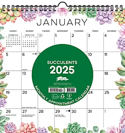 2025 Willow Creek Press Spiral Art Wall Calendar, 12” x 12”, Succulents, January 2025 To December 2025, 48009