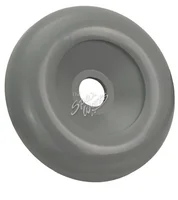 25048-101-010 Valve Cap Gray for 2 Inch Valve