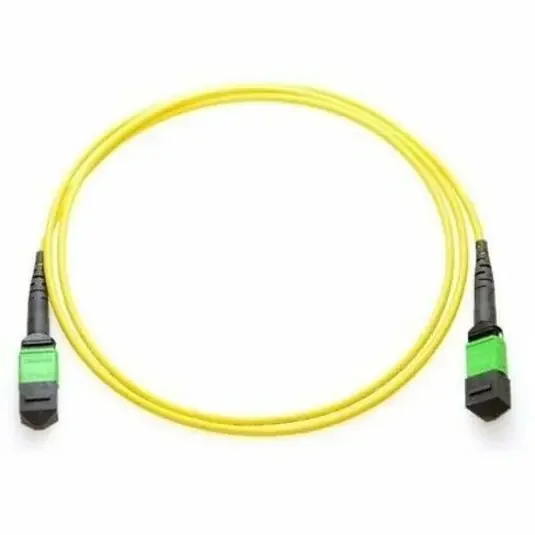 Axiom MPO Male to MPO Male Singlemode 9/125 Fiber Cable 20m – TAA Compliant – 65.62 ft