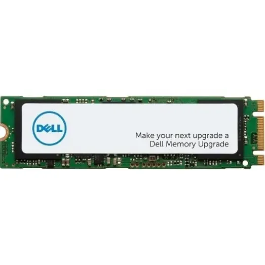 Dell 256 GB Solid State Drive – M.2 2280 Internal – SATA SNP112S/256G