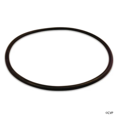 Pentair Rainbow Automatic Feeder Oring Lid To Housing | R172240