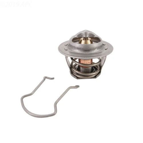 Pentair Thermal Regulator (Includes Spring Clip) | 38000-0007S